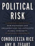 Political Risk book cover