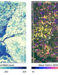 Figure of satellite image of soil moisture and corn yields