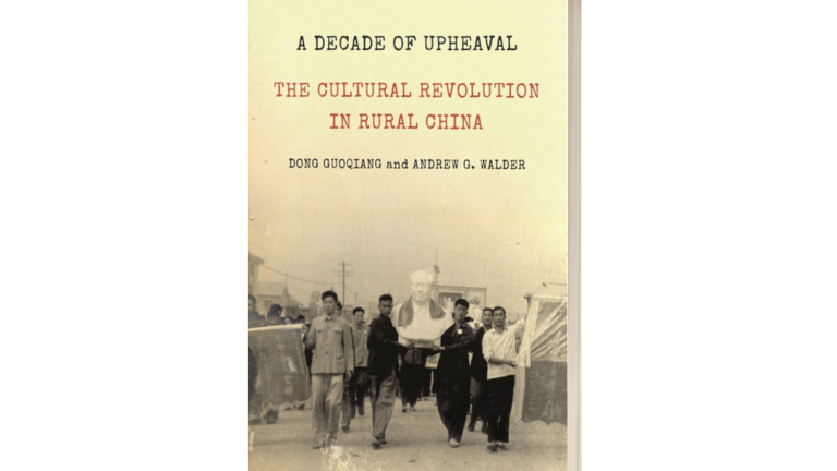 3D mock cover of the book 'A Decade of Upheaval'