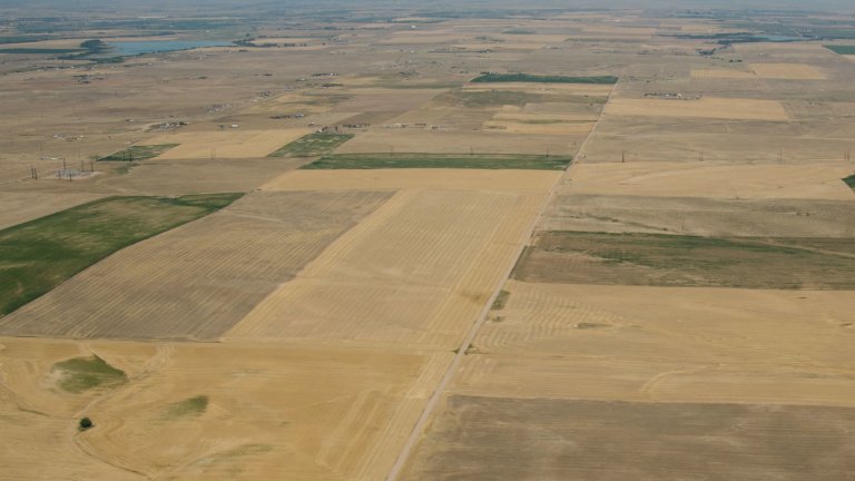 Aerial view of dry brown crop fields