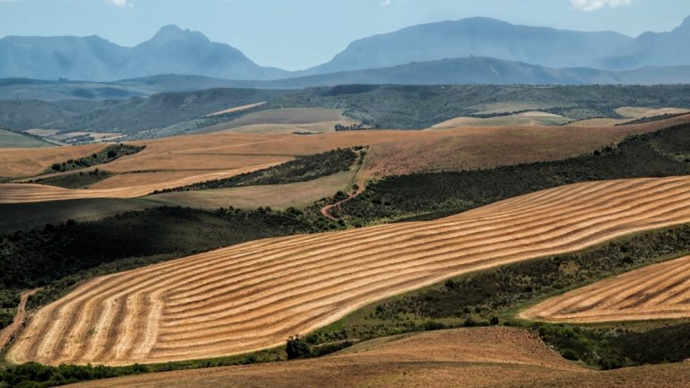 Hills of tilled grain in South Africa