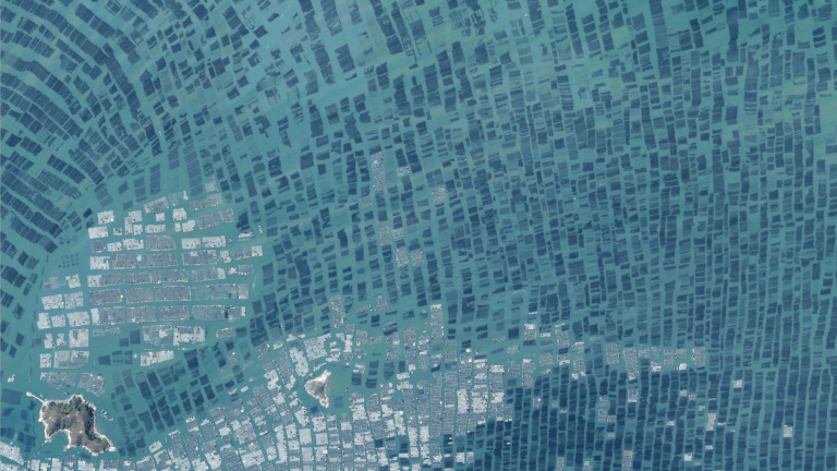 Aerial photo of aquaculture in Luoyuan Bay, China