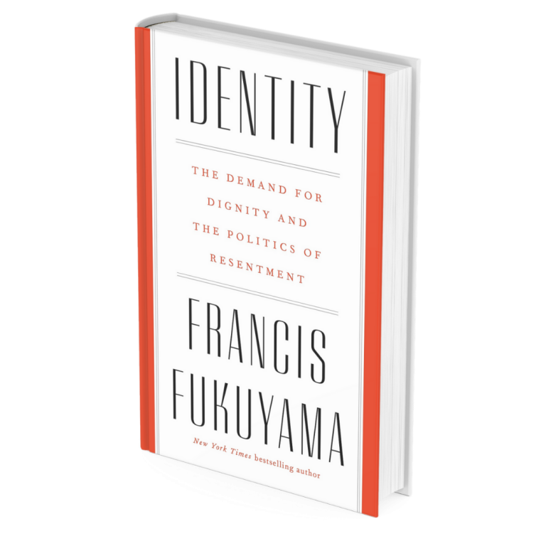 Identity book cover Identity book cover