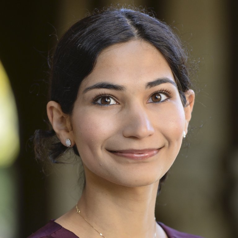 headshot of Maha Al-Fahim