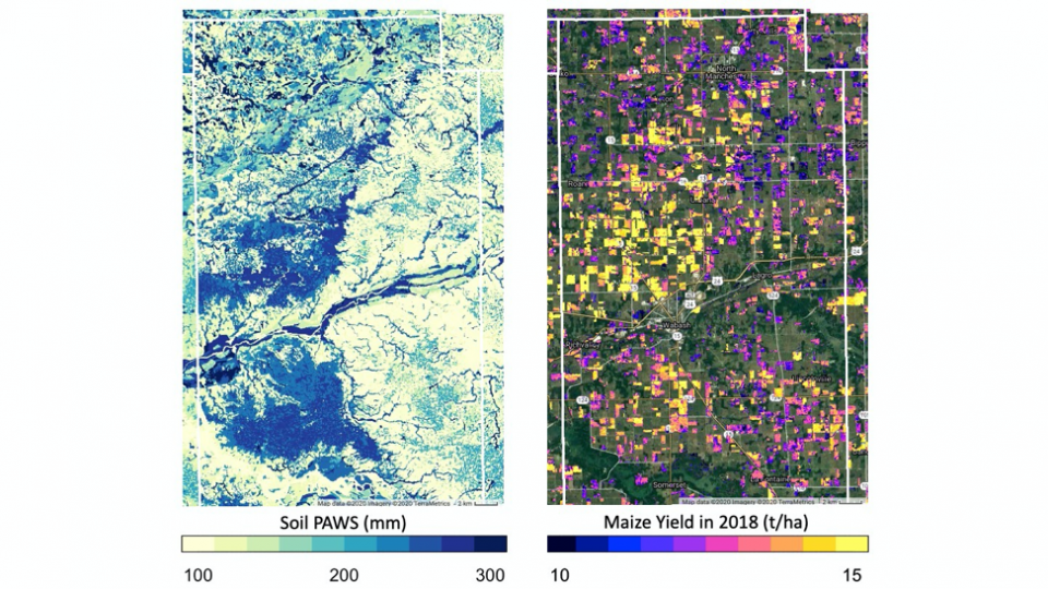 satellite maps showing soil moisture and maize yields
