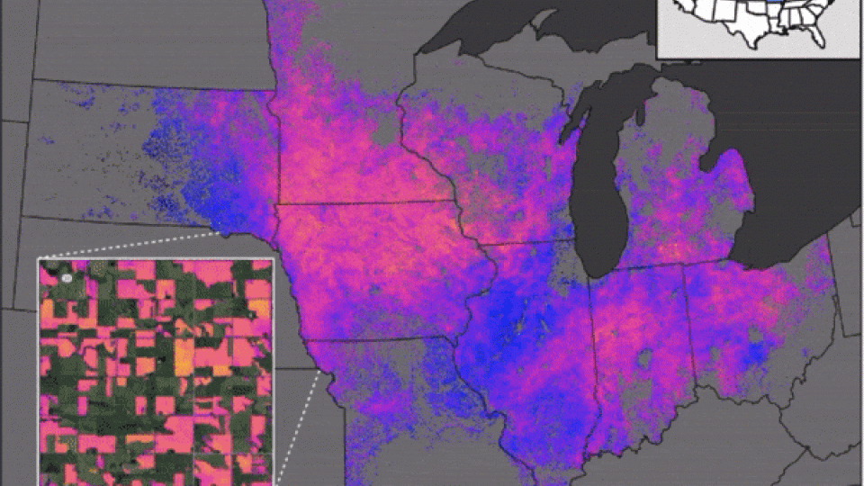 Map of corn yields in the midwest