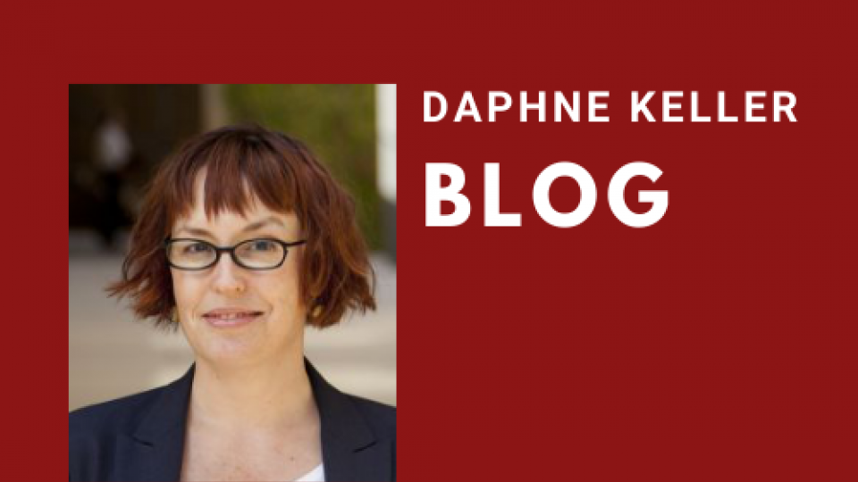 daphne keller blog header 2