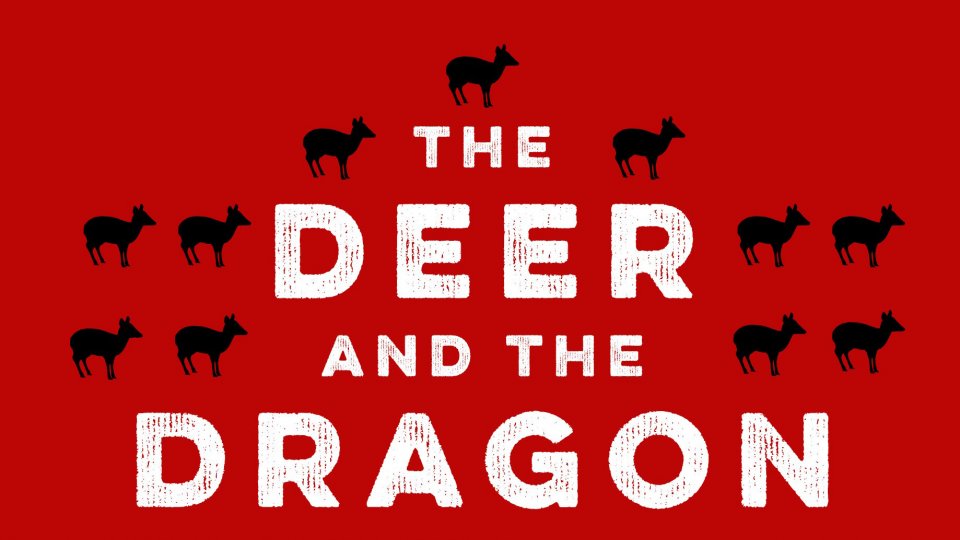 Cover of the book 'The Deer and the Dragon: Southeast Asia and China in the 21st Century'