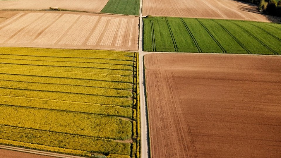 A drone shot of several fields growing different crops