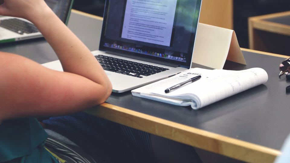 Student looking at laptop Student looking at laptop