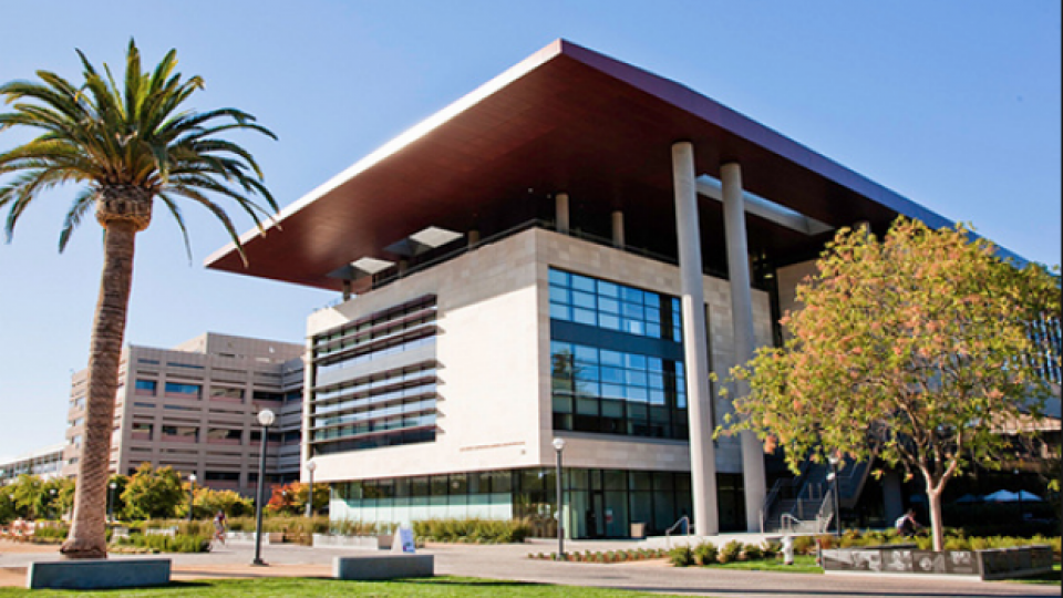 school of medicine