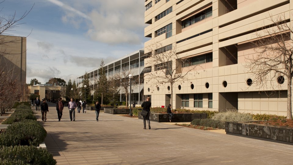 Stanford School of Medicine