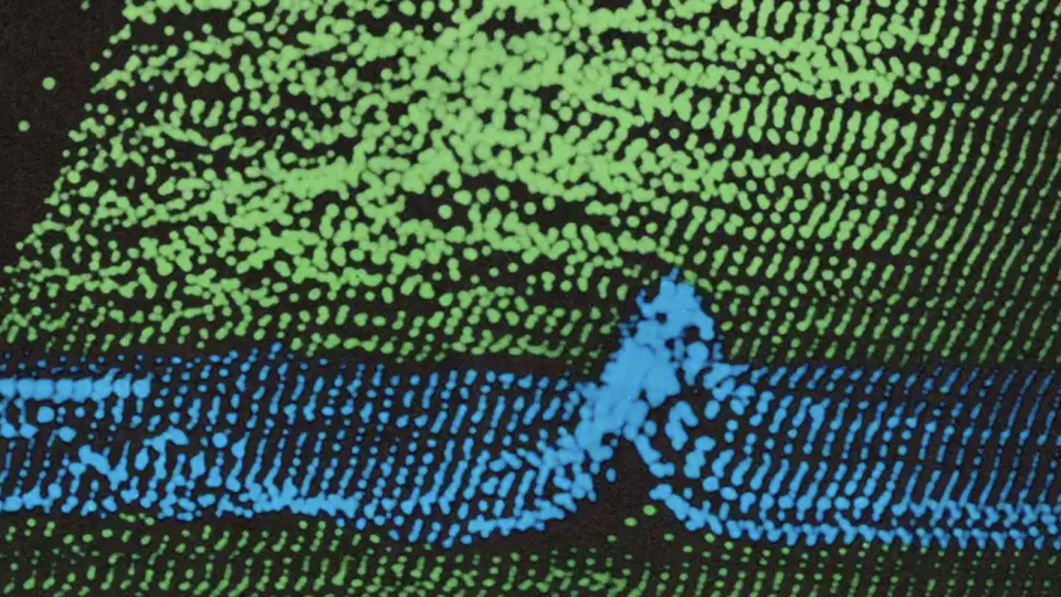 Screenshot of Image