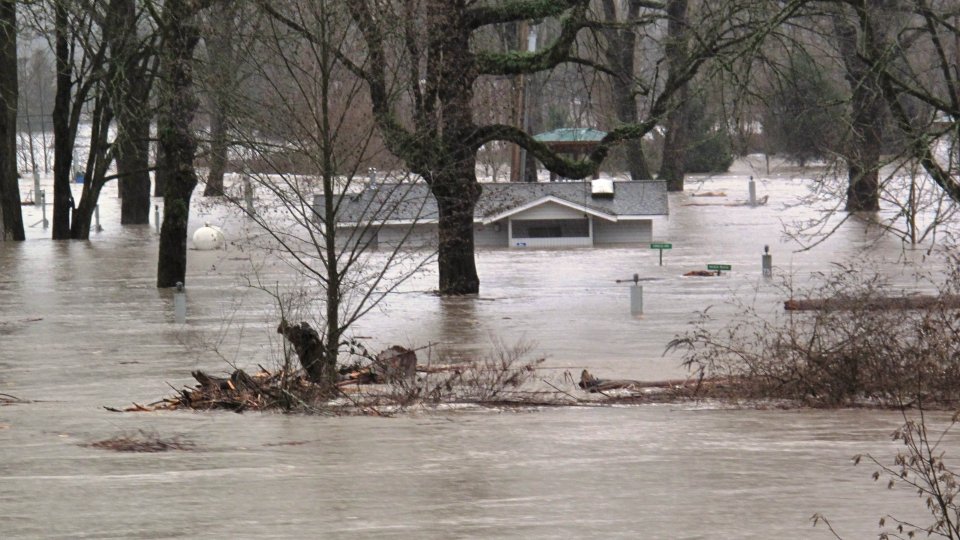 Top of a building and trees in a flooded street