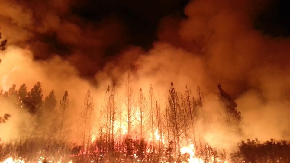Smoke rising about a forest on fire