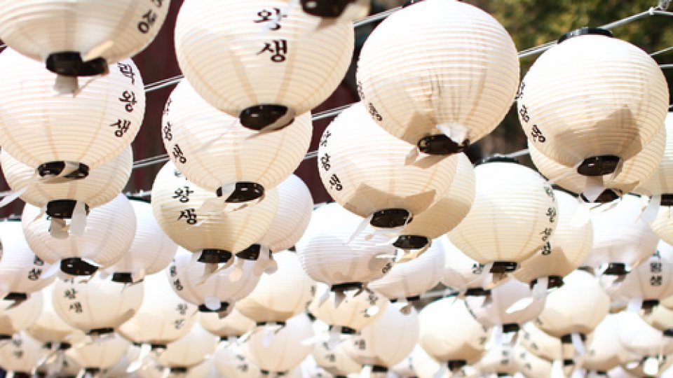hanging white lanterns with Korean text