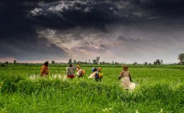 1 agriculture and rural farms of india