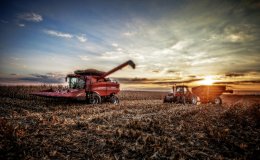 30141460015 bc55de5c03 o