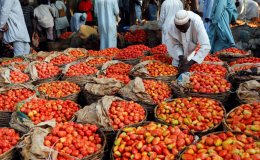 large 6pjjgt rnxrfxgachfmhtpzf8bnum2xf7nt56ksdxjs