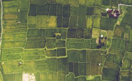 shutterstock 577538629