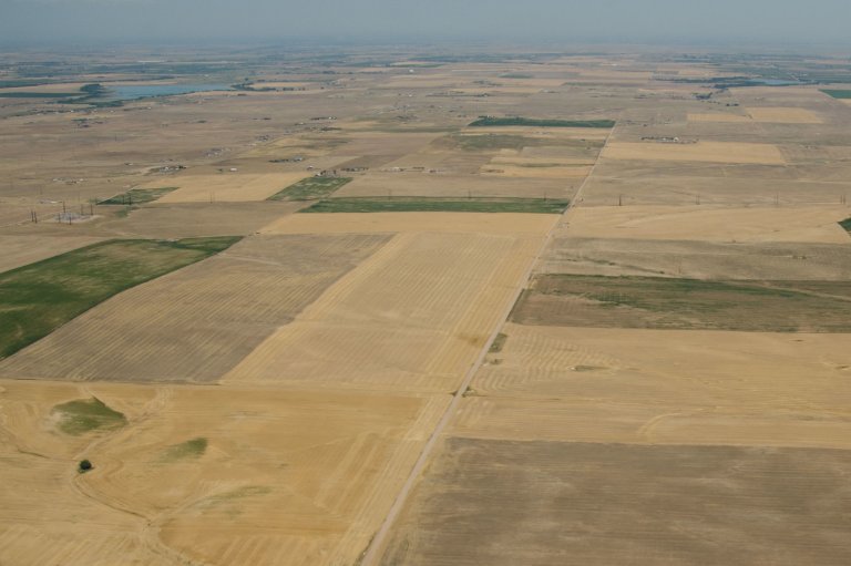 Aerial view of dry brown crop fields