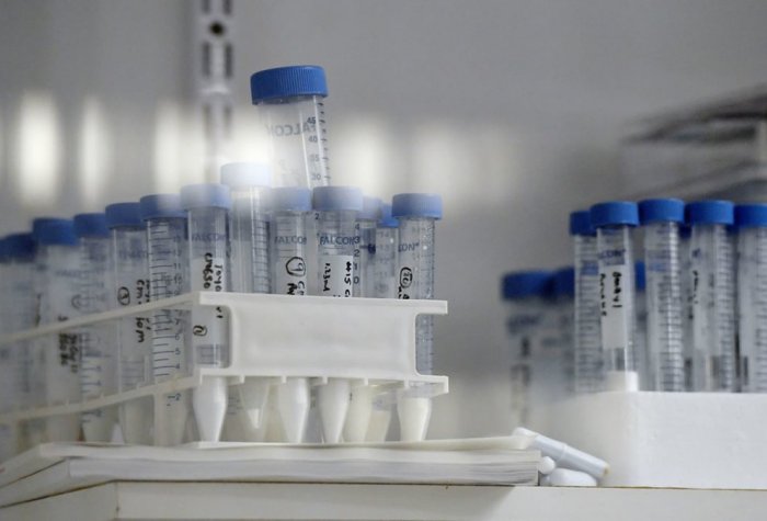 Picture of test tubes