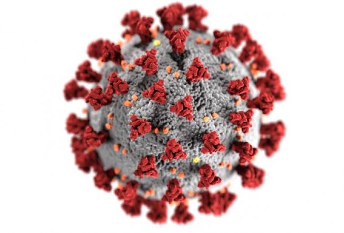 Illustration of coronavirus