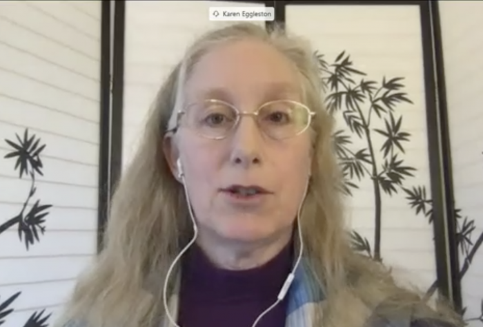 Karen Eggleston speaking to an online panel.