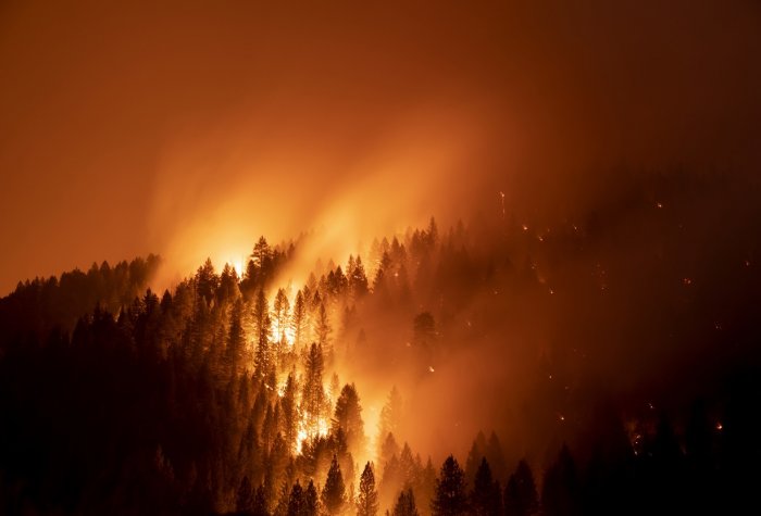 wildfire