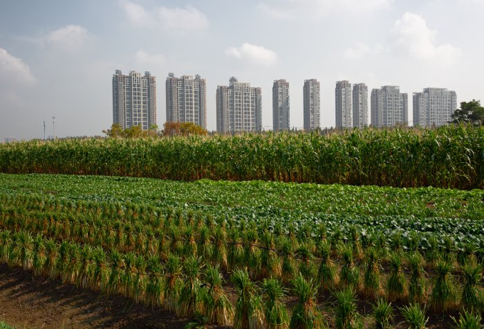 Sky rises behind farmland in Hangzhou, China.