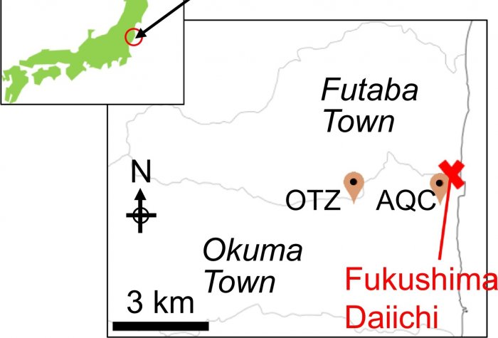 Location of Fukushima Daiichi Nuclear Power Plant and sampling location. OTZ and AQC stand for Ottozawa and aqua culture center in Okuma town, respectively.