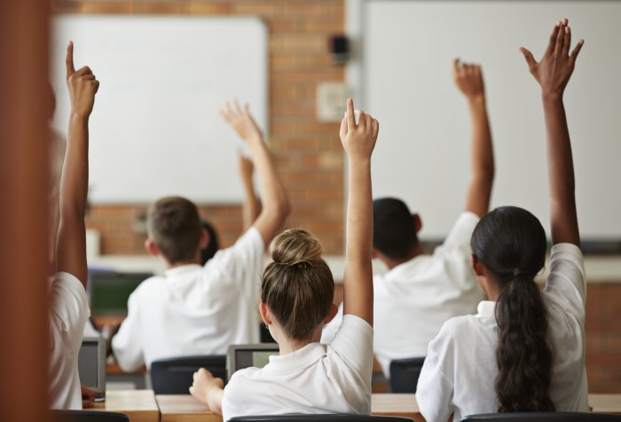 Pupils raise their hands in class.