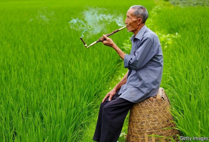 Old man smokes out of a pipe while sitting in a field.