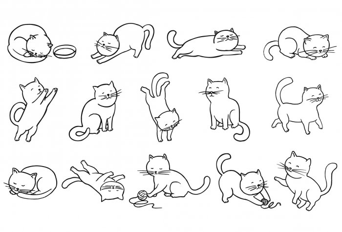 Sketches of cats