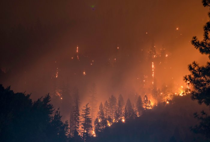 Forest fires burn