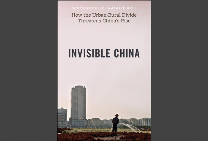 Book cover for "Invisible China: How the Urban-Rural Divide Threatens China's Rise" showing a man watering a field in front of high rise buildings.