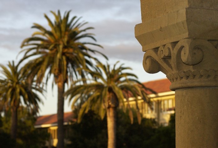 Architectural detail on Stanford colonnade with palm trees in the background