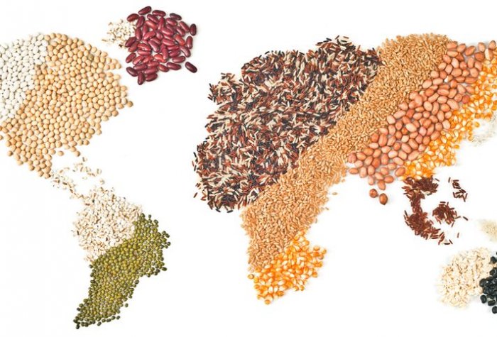 feed the world