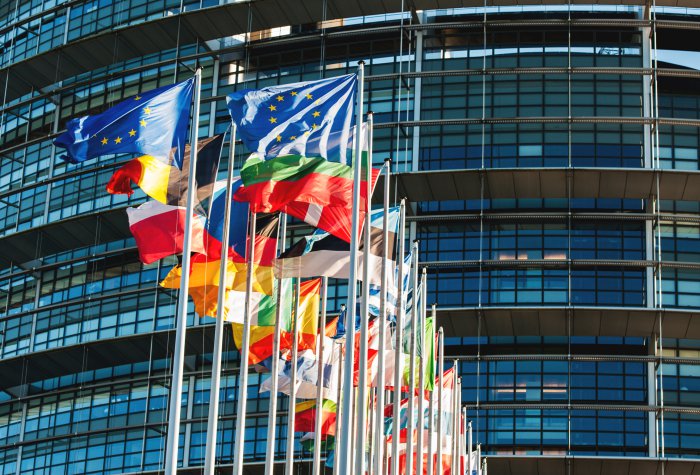 All EU members flags in front of the European Parliament in Strasbourg, France All EU members flags in front of the European Parliament in Strasbourg, France