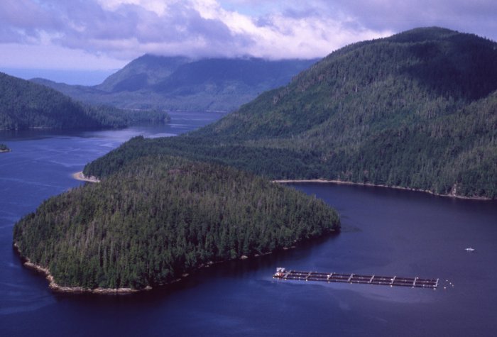 BC aquaculture news