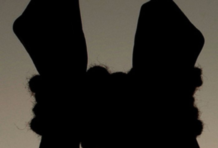 Human Trafficking 2013 Logo