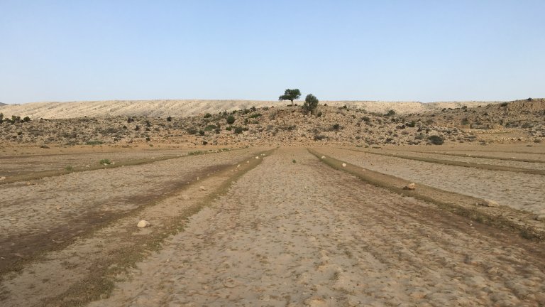larkana pakistan panoramio 6