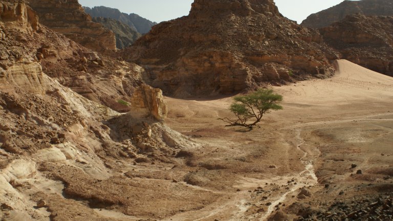 sinai peninsula geography