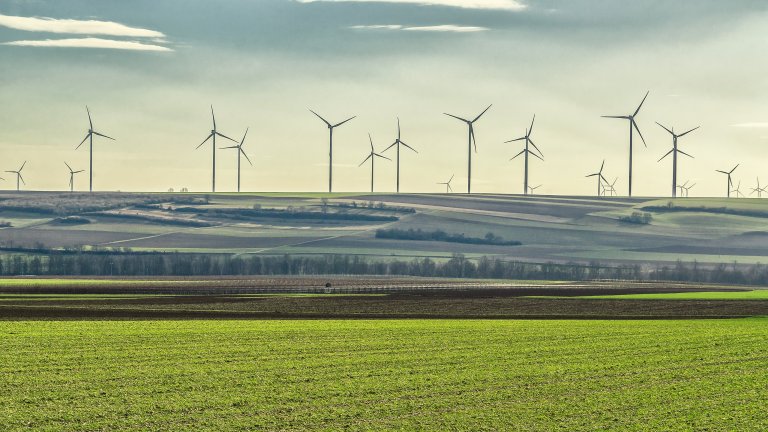 windmills in the field